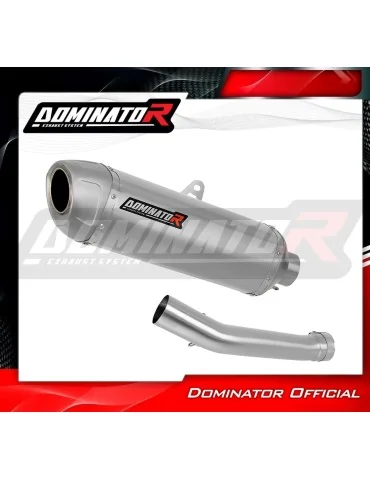 Silencieux slip-on Dominator S6 pour Yamaha YZF R1 1000 RN01 (1998-1999)