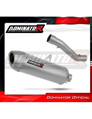 Silencieux slip-on Dominator S6 pour Honda CBR 600 F4i Sport (2001-2006)