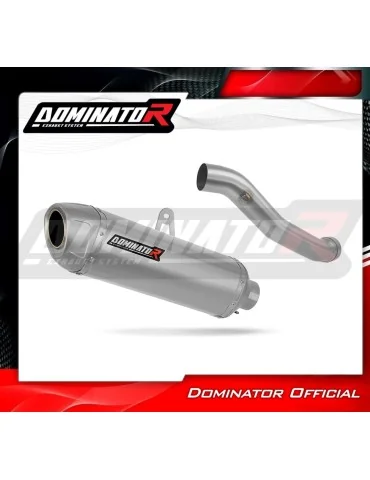 Silencieux slip-on Dominator S6 pour Yamaha YZF R1 1000 RN09 (2002-2003)