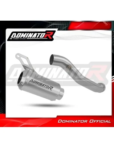 Silencieux slip-on Dominator GPS pour Yamaha YZF R1 1000 RN09 (2002-2003)