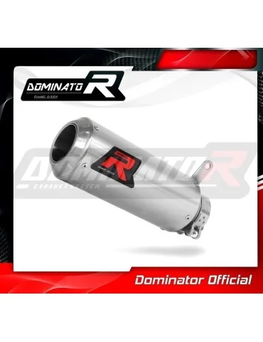 Silencieux slip-on Dominator GP pour BMW S1000RR (2009-2011)