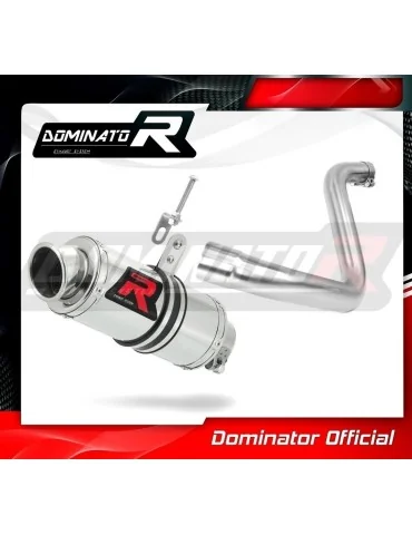 Silencieux slip-on Dominator GP1 pour KTM 390 Duke (2013-2016)