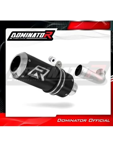 Silencieux slip-on Dominator GP Noir pour KTM 390 Duke (2017-2020)