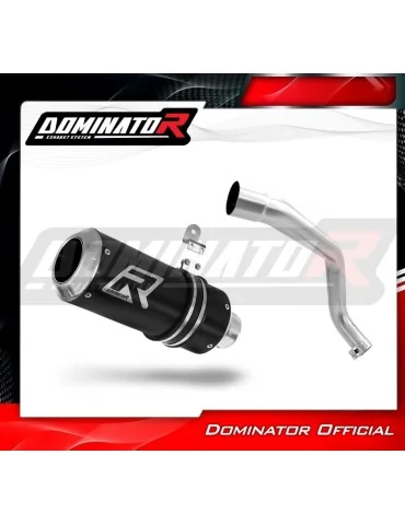 Silencieux slip-on Dominator GP Noir pour Honda CB 600F Hornet (1998-2002)