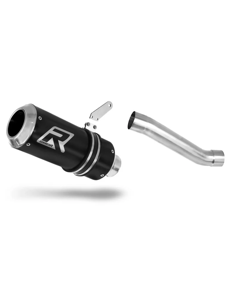 Silencieux slip-on Dominator GP Noir pour Ducati Monster 821 (2018-2021)