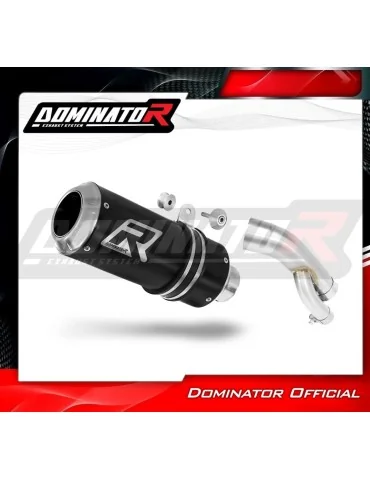 Silencieux slip-on Dominator GP Noir pour BMW S1000R (2017-2020)