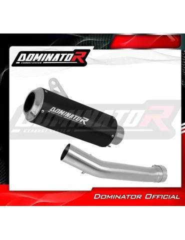 Silencieux slip-on Dominator GP Noir pour Yamaha YZF R1 1000 RN04 (2000-2001)