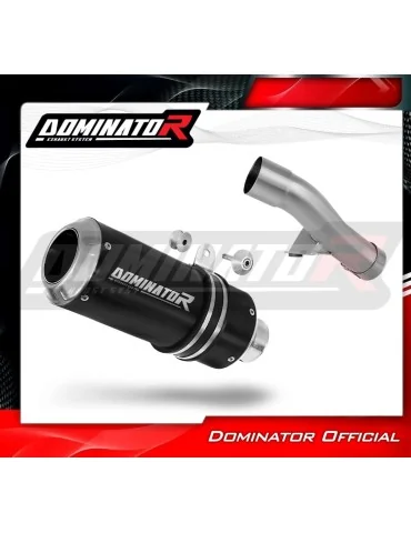 Silencieux slip-on Dominator GP Noir pour Honda CBF 600 (2004-2007)