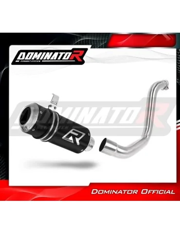 Silencieux slip-on Dominator GP Noir pour KTM 125 Duke (2012-2016)
