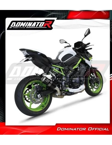 Silencieux slip-on Dominator GP Noir pour Kawasaki Z 900 (2020-2024)