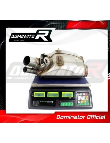 Décatalyseur inox Dominator pour BMW S1000R 2017-2019