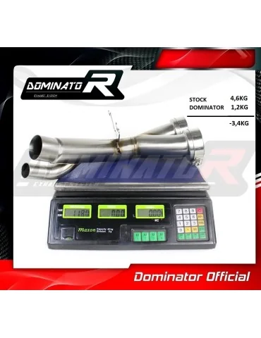 Décatalyseur inox Dominator pour BMW S1000R 2017-2019