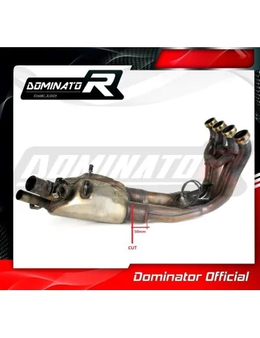Décatalyseur inox Dominator pour BMW S1000XR 2015-2019
