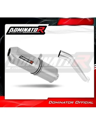 Silencieux slip-on Dominator OVR pour Kawasaki ZX6R 636 (2003-2004)