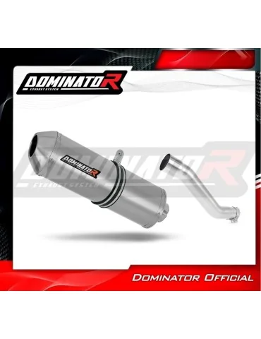 Silencieux slip-on Dominator OVR pour Yamaha TTR 600 (1999-2003)