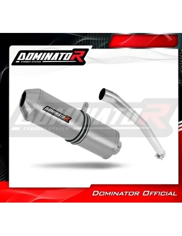 Silencieux slip-on Dominator OVR pour Yamaha YZF R6 (1999-2002)