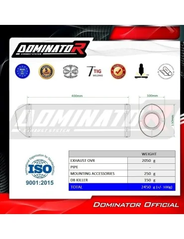 Silencieux bolt-on homologué Dominator OVR pour Kawasaki ZX9R (1998-2002)