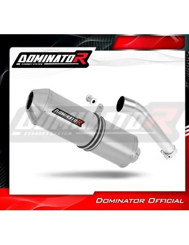 Silencieux slip-on Dominator OVR pour Yamaha YZF 600 R Thundercat (1996-2006)