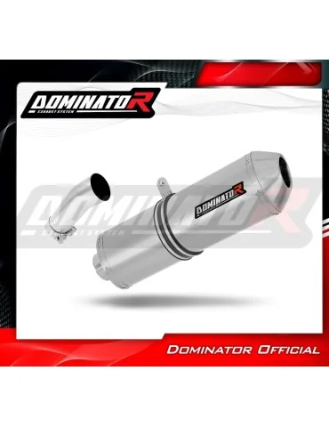 Silencieux slip-on Dominator OVR pour BMW F800R (2009-2019)