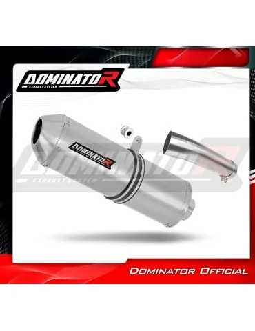 Silencieux slip-on Dominator OVR pour Suzuki SV 650 N (1999-2002)