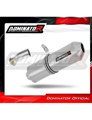 Silencieux slip-on Dominator OVR pour KTM 690 Enduro R (2021-2023)