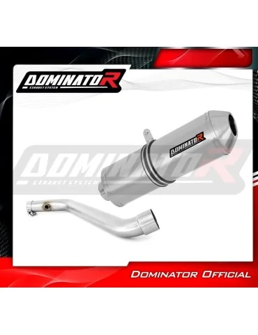 Silencieux slip-on Dominator OVR pour BMW R1150RS