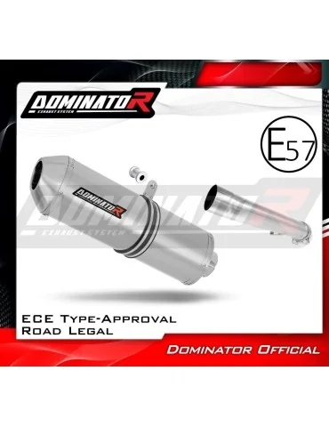 Silencieux slip-on homologué Dominator OVR pour Yamaha FZS Fazer 1000 (2001-2005)