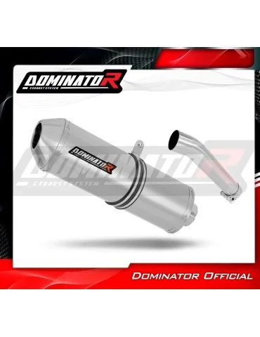 Silencieux slip-on homologué Dominator OVR pour Yamaha FZS Fazer 600 (1998-2003)