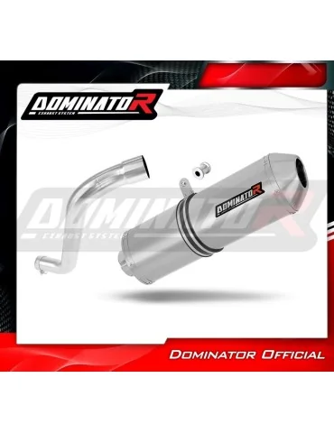 Silencieux slip-on Dominator OVR pour BMW F650ST
