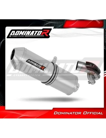 Silencieux slip-on Dominator OVR pour BMW S1000XR (2015-2019)