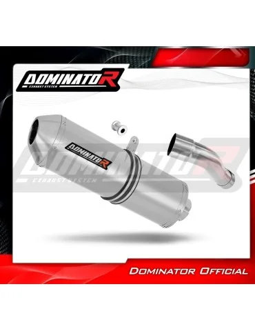 Silencieux slip-on Dominator OVR pour Honda CB 600F Hornet PC41 (2007-2013)