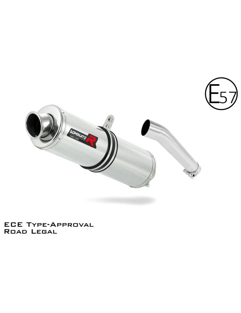 Silencieux slip-on homologué Dominator ST pour Yamaha FZS Fazer 600 (1998-2003)