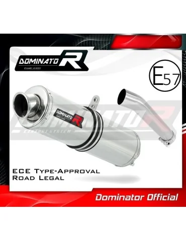 Silencieux slip-on homologué Dominator ST pour Yamaha FZS Fazer 600 (1998-2003)