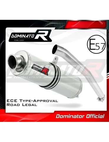 Silencieux slip-on homologué Dominator ST pour Yamaha YZF R6 (1999-2002)