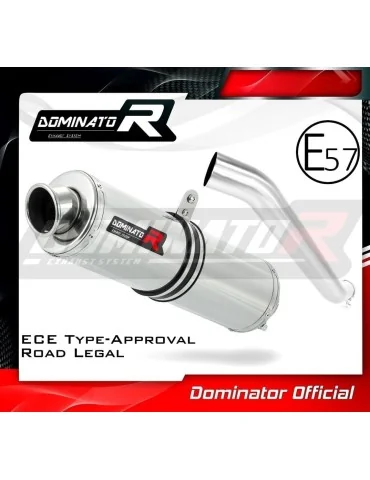 Silencieux slip-on homologué Dominator ST pour Kawasaki ZX6R 636 (2003-2004)