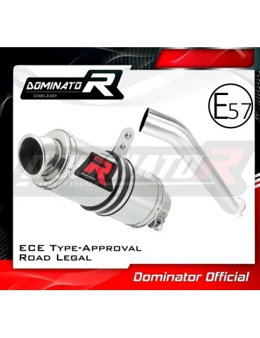 Silencieux slip-on homologué Dominator GP1 pour Kawasaki ZX6R 636 (2003-2004)