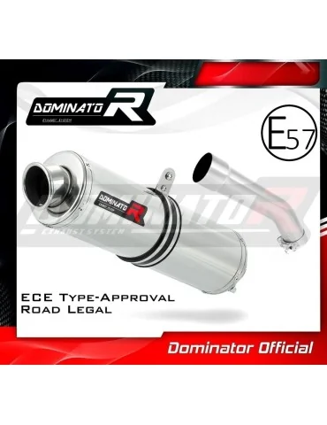 Silencieux slip-on homologué Dominator ST pour Kawasaki ZX10R (2004-2005)