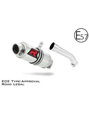 Silencieux slip-on homologué Dominator GP1 pour Kawasaki ZX10R (2004-2005)