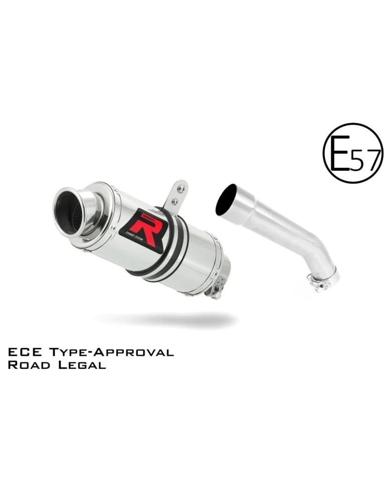 Silencieux slip-on homologué Dominator GP1 pour Kawasaki ZX10R (2004-2005)