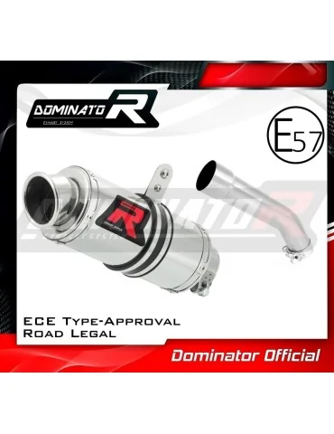 Silencieux slip-on homologué Dominator GP1 pour Kawasaki ZX10R (2004-2005)