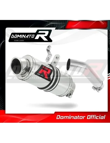 Silencieux slip-on Dominator GP1 pour BMW S1000RR (2015-2016)