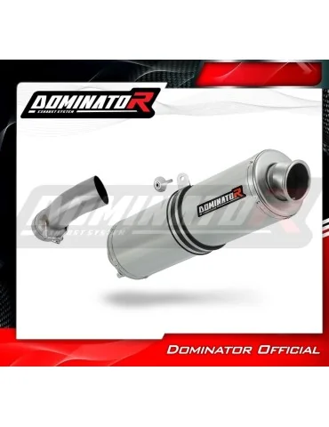 Silencieux slip-on Dominator ST pour BMW R1200R (2010-2014)