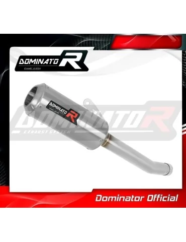 Silencieux slip-on Dominator GP pour Honda CBR 250 R (2011-2013)