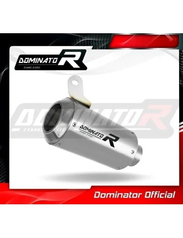 Silencieux slip-on Dominator GPS pour Yamaha YZF R6 (2006-2016)