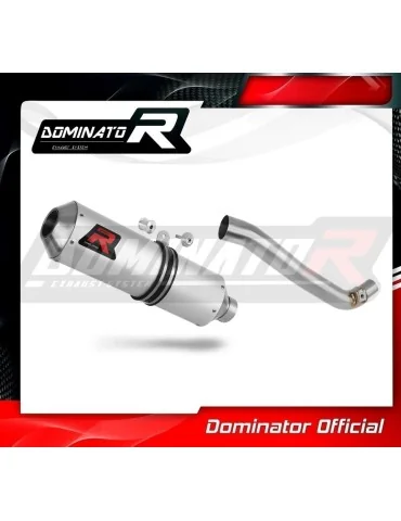 Silencieux slip-on Dominator MX pour Suzuki DR 650 SE / S (1996-2024)