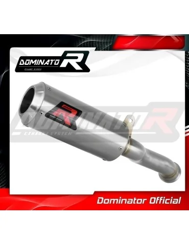 Silencieux slip-on Dominator GP pour KTM 890 Duke (2020-2023)