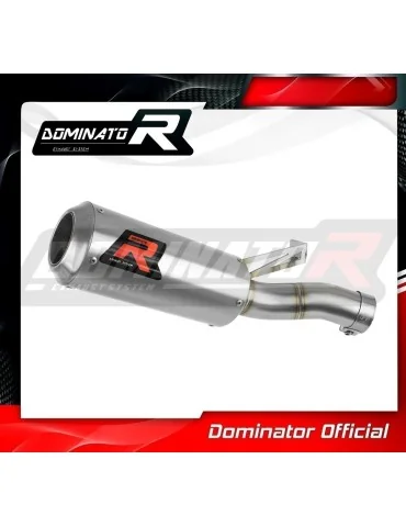 Silencieux slip-on Dominator GP pour BMW F900XR (2020-2026)