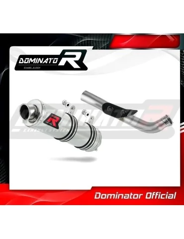 Silencieux slip-on Dominator GP1 pour Yamaha Raptor 700 R (2015-2021)