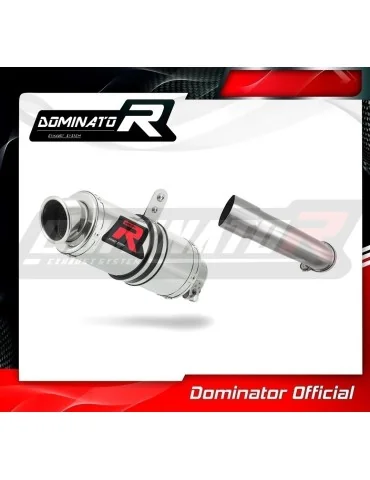 Silencieux slip-on Dominator GP1 pour KTM 390 Adventure (2020-2024)