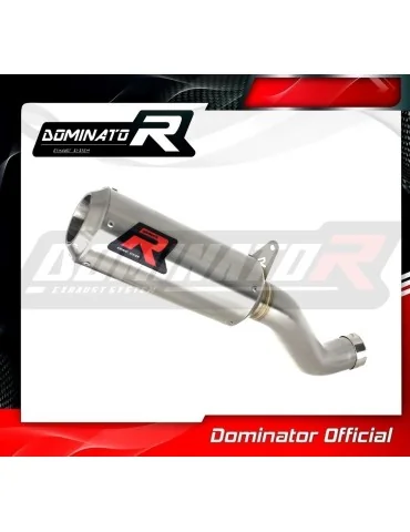 Silencieux slip-on Dominator GP pour Aprilia RSV 4 R APRC Factory (2011-2015)